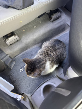 房屋修繕舊屋翻修套房改建泥作工程統包工程磁磚防水水電鐵工鋁窗